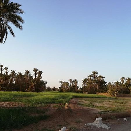 Kasbah Les Alizes Du Desert Мхамид Экстерьер фото