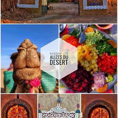 Kasbah Les Alizes Du Desert Мхамид Экстерьер фото