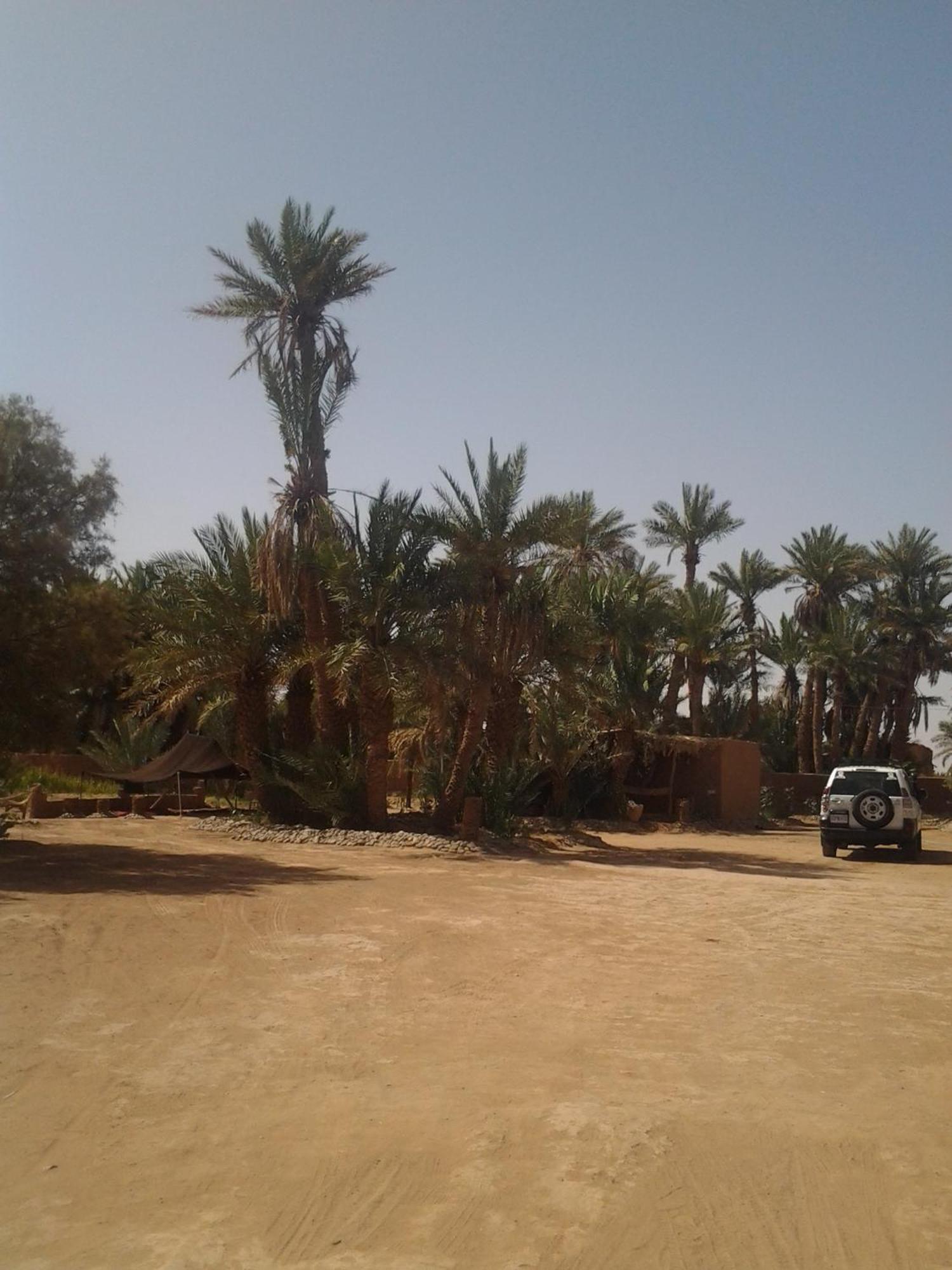Kasbah Les Alizes Du Desert Мхамид Экстерьер фото