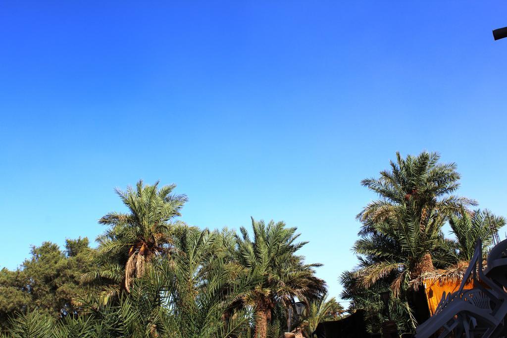 Kasbah Les Alizes Du Desert Мхамид Экстерьер фото