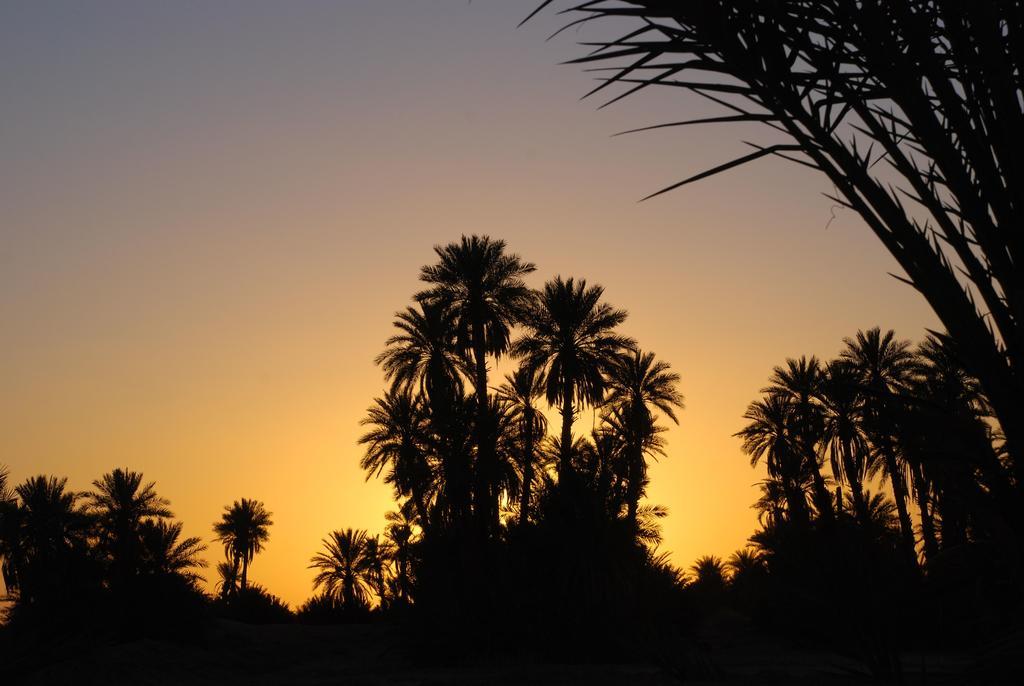 Kasbah Les Alizes Du Desert Мхамид Экстерьер фото
