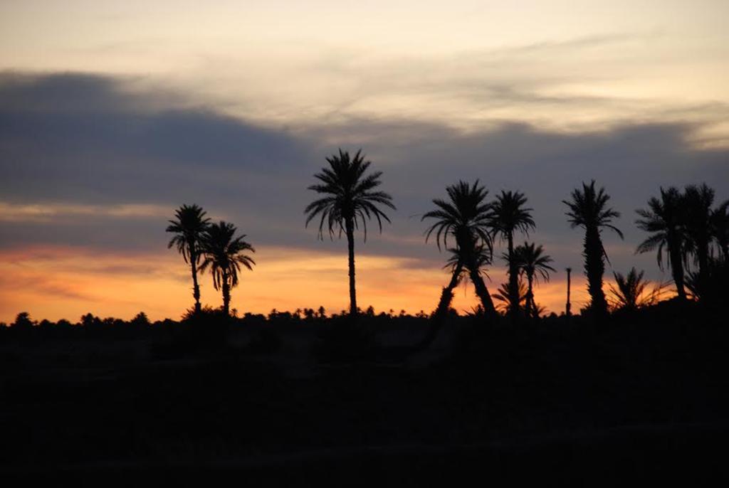 Kasbah Les Alizes Du Desert Мхамид Экстерьер фото
