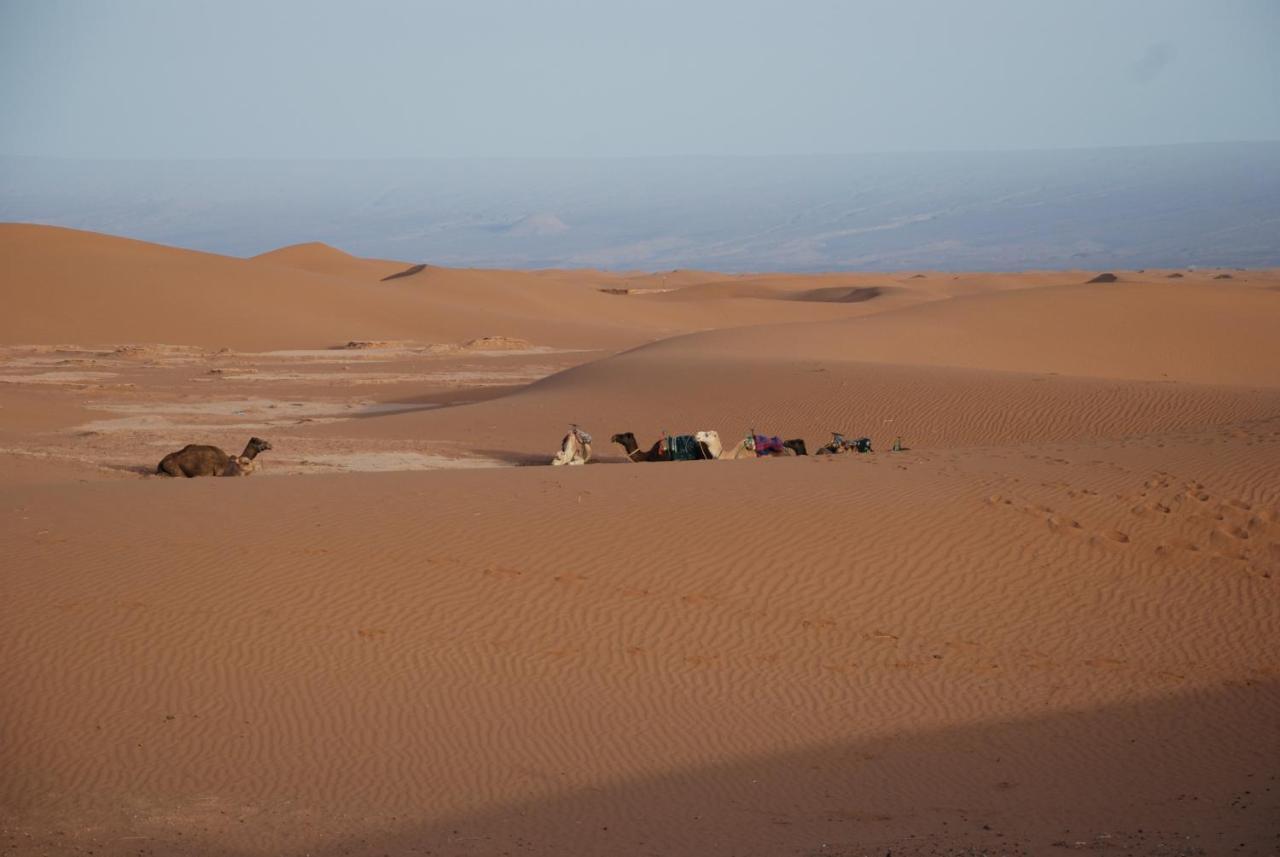 Kasbah Les Alizes Du Desert Мхамид Экстерьер фото