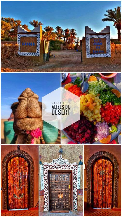 Kasbah Les Alizes Du Desert Мхамид Экстерьер фото